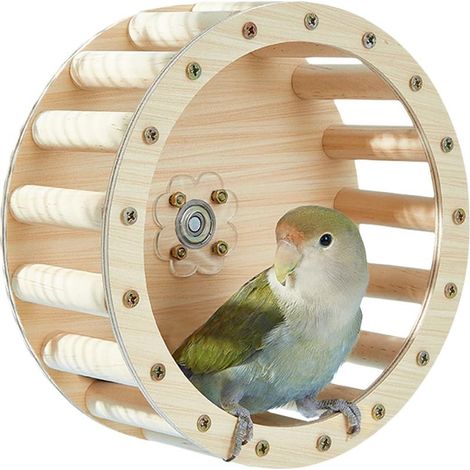 Roue De Course pour Perroquets - Perchoir Tournant pour Perroquets - Jeu en (1/5)