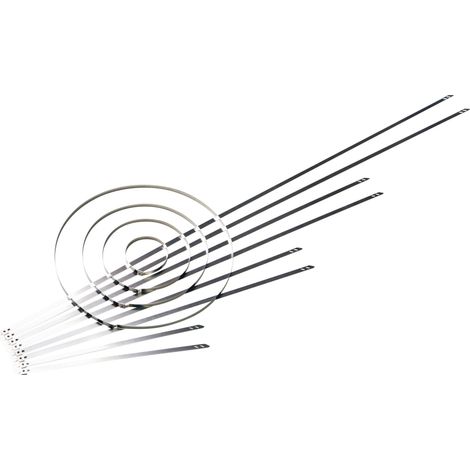 HellermannTyton 111-01552 MST700S Serre-câble en acier inoxydable 700 mm 5.90 mm argent avec fermeture à billes, stabilisé à la chaleur 1 pc(s) Y946011 (1/3)