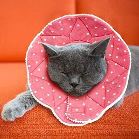 Komfortabler postoperativer Kragen für Katzen und Hunde, robust, wasserdicht, kratz- und bissfest, leicht zu reinigen, mit verstellbarem Verschluss