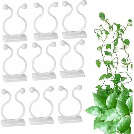 100 Pieces Clips De Support pour Plantes Grimpantes, Crochet Auto Adhésif Plante, Plante Grimpant Fixations Murales, pour Jardin Vignes, Bureau cable de Fixation,Accessoire de rangement pour cuisine (1/4)