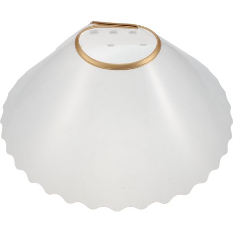 Collier Conique Élisabéthain Transparent Ajustable pour Chat et Chien Taille L Léger Protection Postopératoire Convalescence (1/5)