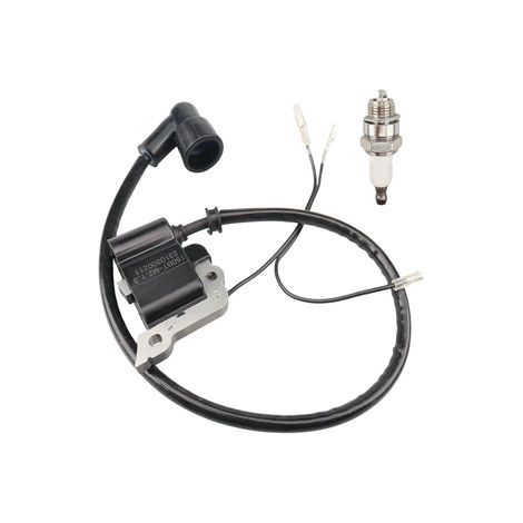 S-giant Bobine d'allumage haute tension compatible avec 150BT, 350BT, 150BF, 350BF Souffleur avec bougie (1/5)