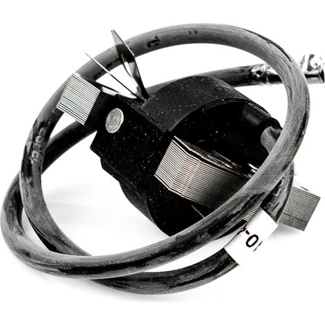 Bobina de encendido, paso de 63 mm, para cortacésped de gasolina Briggs Stratton 398811 (1/5)