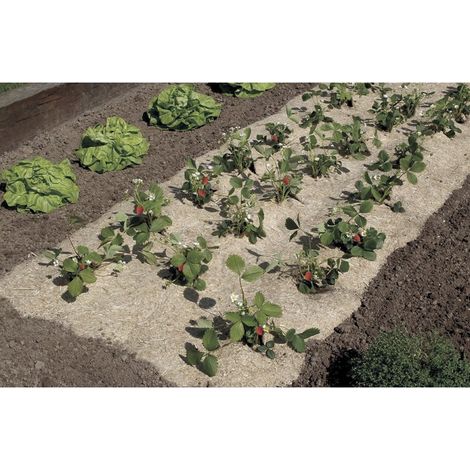 Paillis anti-mauvaises herbes Culture naturelle - Nortene 0,49x3 mètres