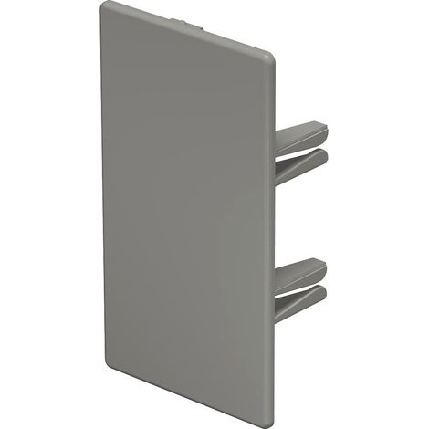 OBO Bettermann Pieza final 60x110mm Cloruro de polivinilo gris piedra RAL 7030, 6022588