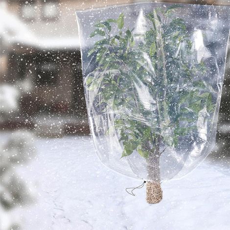 Protezione antigelo per coperchi - Sacchetto protettivo trasparente con borchie, pellicola protettiva impermeabile in PE  Foglio barriera antivento trasparente, pellicola isolante resistente al freddo (1/4)
