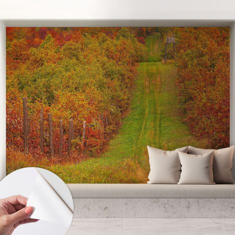 Fototapete Selbstklebend - Wandtattoo - leicht anzubringen - Wandverkleidung Herbstfarben 208x146 cm (1/5)