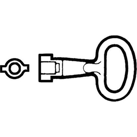 Doppelbartschlüssel Schneider Electric nsyldb5 Metall 9 x 4.5 cm