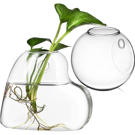 Vase mural robuste KALLORY, en verre borosilicate de haute qualité, idéal (1/5)