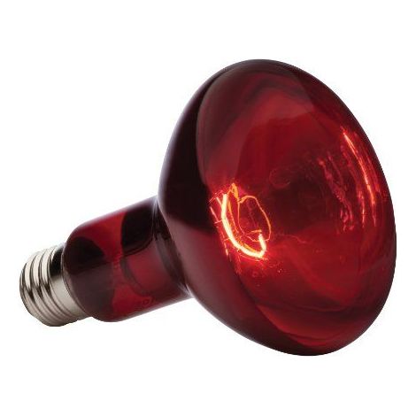 BASKING SPOT LAMPE INFRAROUGE 150 W EXO TERRA PT2146A1