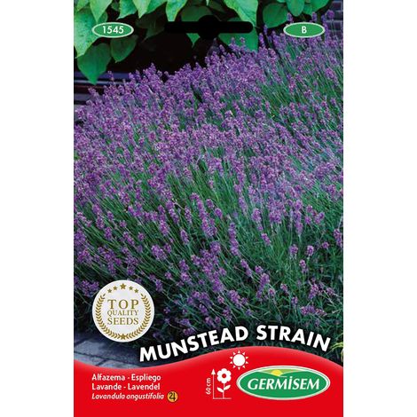 Graines 0.5 g EC1545 Multicolore (1/2)