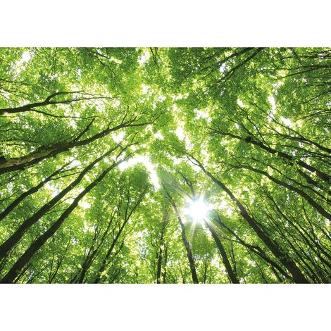 Tableau nature & arbre vert | Tableau été forêt avec rayons du soleil idéal couloir | Tableau sur toile couloir & salon 0,7 x 0,5 m (1/2)