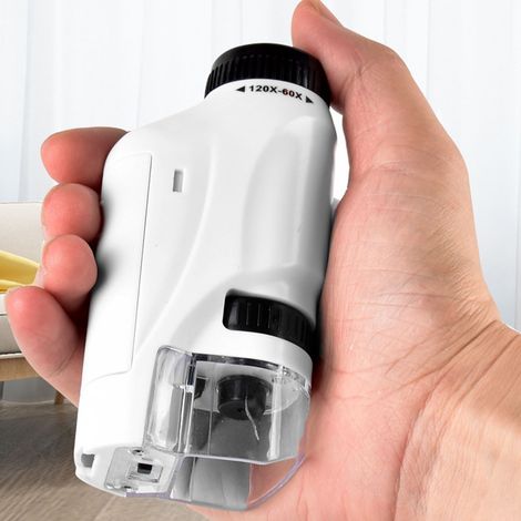 Microscope portable grossissant de 60x à 120x, avec éclairage LED réglable pour l'observation des plantes et des animaux. (1/4)