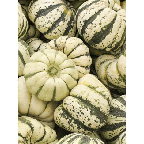 Courge 'Sweet dumpling Patidou' le sachet de 10 graines (0.7g) (1/2)