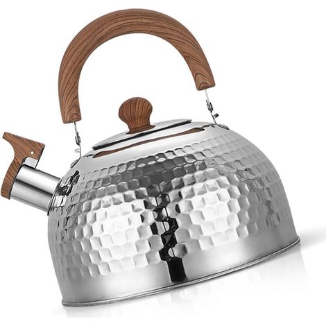 Hervidor de agua Eosnow de acero inoxidable con silbato, gran capacidad, fondo plano, apto para cocinas de gas e inducción, 2 litros. (1/3)