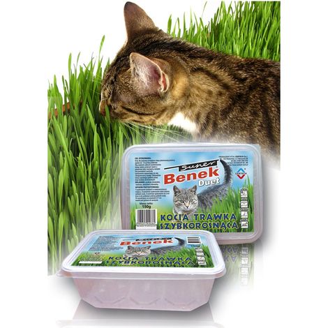 Semences de gazon pour animaux de compagnie Certech 10319 pour chats (1/2)