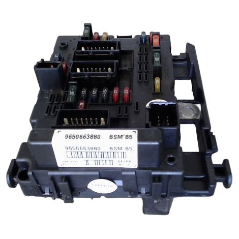 Boite A Fusibles PEUGEOT 406 [PRODUIT D'OCCASION]♻️bsmb5 (1/3)