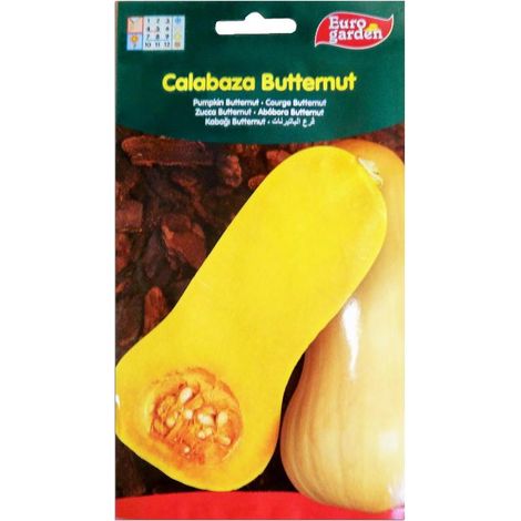 semillas fito horticolas calabaza butternut 06428 (caja 10 unidades)