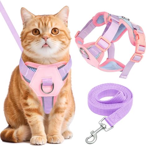Harnais et Laisse pour Chat - Ensemble Réglable en Maille Respirante et Confortable (1/5)