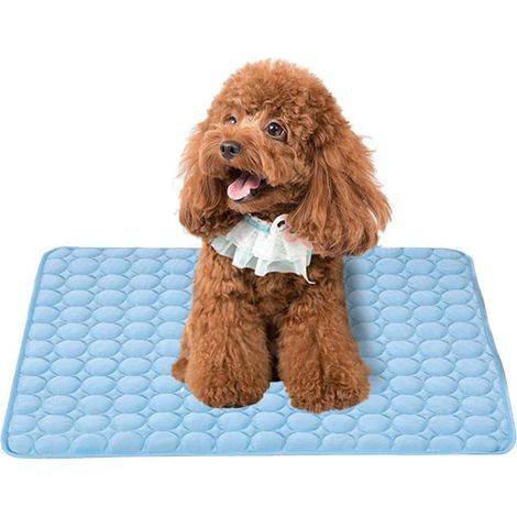 Tapis d'été pour animaux de compagnie (Bleu - Taille : 50 x 40 cm), Tapis de canapé pour chien et chat, P (1/5)