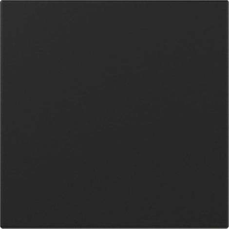 Gira Wippe System 55, gerade, Schwarz matt, 3496005