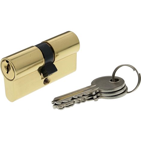 Bricard 30101 Cilindro di serratura doppio ingresso securipro Dimensione 30 + 30 mm in ottone