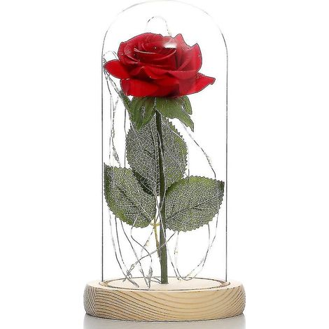 Bouteille en verre rose rouge La Belle et la Bête Rose éternelle Cadeau de Noël Décoration intérieure Valen