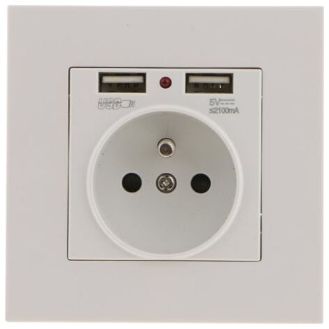 Prise Murale, Prise Electrique Murale avec Double USB 5V/2100mA, Prise Encastrable avec 2 Ports de USB Pratique et Manialble (1/5)