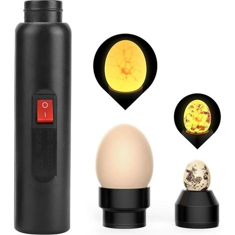 Eierprüfgerät mit LED-Licht, Eierlampe zur Wachstumsinspektion von Hühner-, Enten-, Wachtel- und Vogeleiern, EU-Stecker 240 V