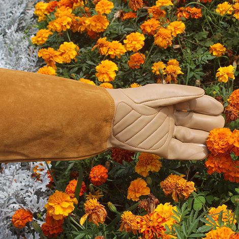 Gants de protection contre les ronces et les épines - Taille 12 cm (1/2)
