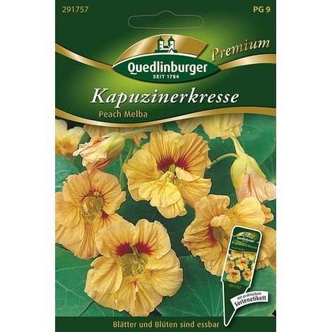 Quedlinburger Saatgut – Capucine « Peach Melba » – Graines de fleurs, fleurs comestibles, non grimpante, hauteur env. 25 cm
