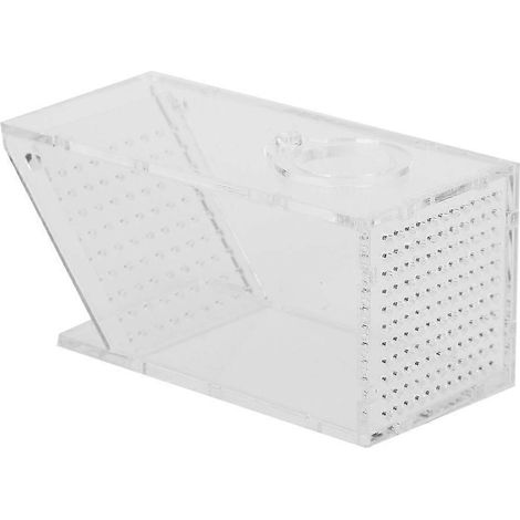 Piège à crabes d'eau douce pour aquarium en acrylique, boîte à sens unique (1/4)