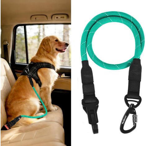Hunde Sicherheitsgurt für Auto, Anschnallgurt mit Karabiner, verstellbar, Türkis (1/5)