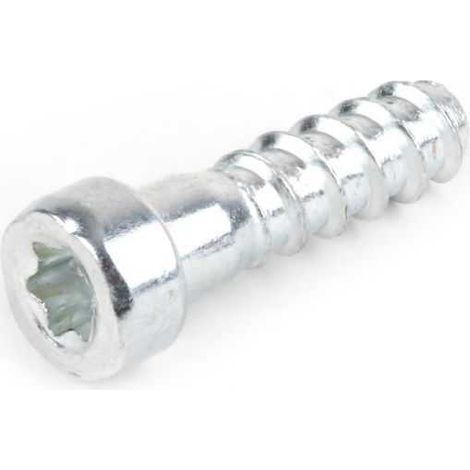 Vis autotaraudeuse de forme cylindrique pour tronçonneuse Stihl 024 MS240 (1/4)