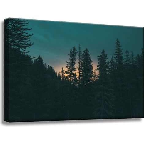 Leinwanddruck Natur Wald in der Abenddämmerung 60x40 cm Dunkelheit