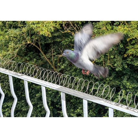 Repousseur d'oiseaux Gardigo spiral Type de fonctions effet dissuasif 1 pc(s) (1/5)