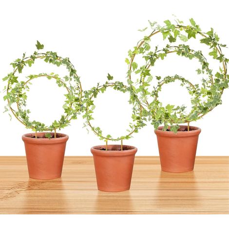 Ensemble de 6 tuteurs pour plantes d'intérieur en trois tailles – Support rond en métal – Outils et accessoires de jardin – Convient aux petites plantes grimpantes et aux plantes grimpantes d'intérieu (1/5)