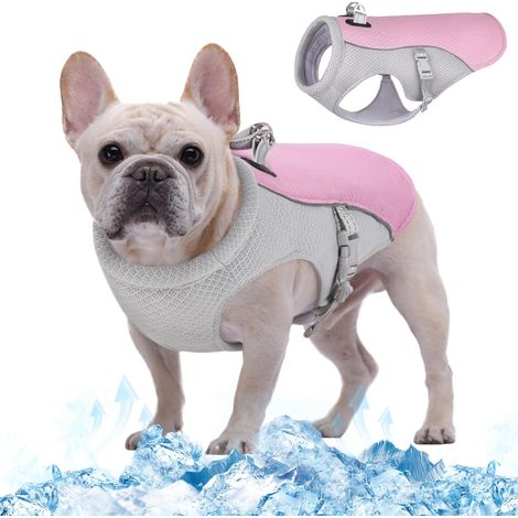 Gilet de refroidissement pour chien Veste rafraîchissante réglable et respirante avec bande réfléchissante pour petits moyens et grands chiens Rose (1/5)