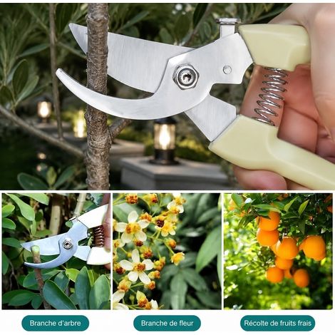 Sécateur Jardin Inoxydable 18 cm Lame 4,5 cm Coupe 5 mm Manche Ivoire (1/4)