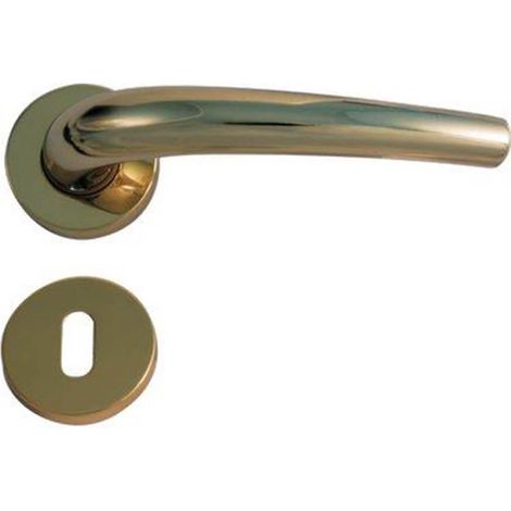 MANIGLIA TORINO OTTONE ROSETTA FORO PATENT (1/2)