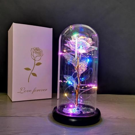 Rose Eternelle - - Cloche en Verre - Lumières LED Colorées - Cadeau Femme - Décoratif (1/4)