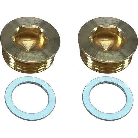 Vaillant 2 prises