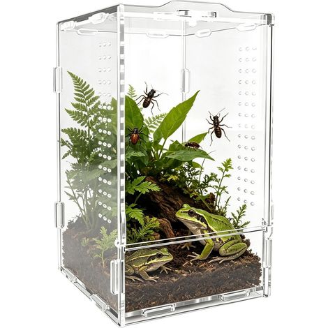 Enclos à araignée sauteuse Habitat Acrylique Mygale Bac nourrissage grenouille arboricole Pour éleveurs, amateurs, éducateurs, projet scolaire, magasins, étude, classe, maison (1/5)