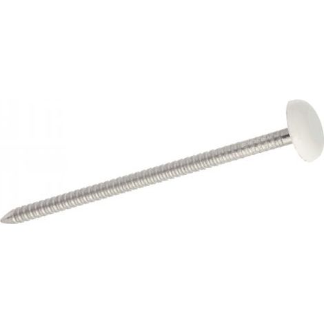 Acton – Clou à tête bombée plastifiée blanche 2,1x40 mm – Inox A4 – Boîte de 100 – Résistant à la corrosion pour extérieur