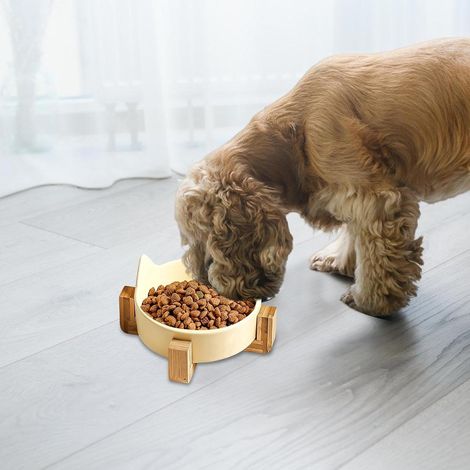 Gamelles pour Chats en Céramique,Bols De Nourriture pour Chats en Céramique Bols anti-déversement pour chien et chat, bol d'alimentation pour chat avec (1/5)