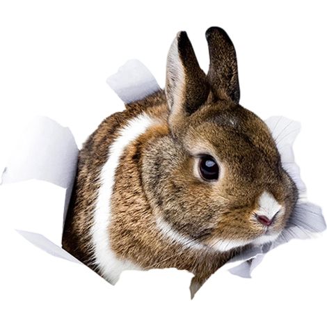 Autocollant Murale Pâques - Lapin 3D Effet Mur Cassé - Décor Intérieur Détachable - PVC - 1 Pièce (1/4)