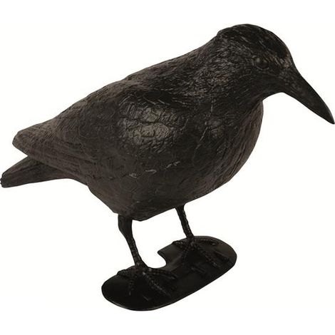 4U-Onlinehandel Ahuyentador de palomas, cuervo