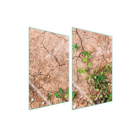 Plaque de protection en verre pour la cuisine, 2 x 35 x 52 cm, plantes (1/5)