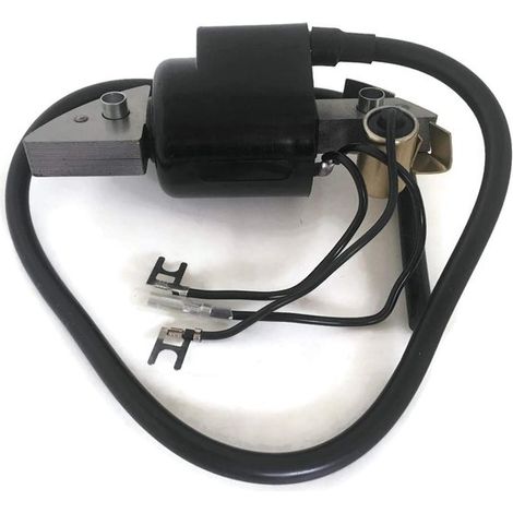Bobina de encendido, apta para G150, etc (1/5)