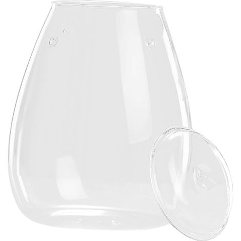 Hydroponik Vase Glas Terrarium Pflanzenterrarium